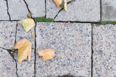 Eski kaldırım üstten görünüm ya da Granit kaldırım taşı döşeli yol sonbahar yaprakları ile gri. Antik tuğla Cobblestoned kat veya granit fayans Street büyük taşlarla