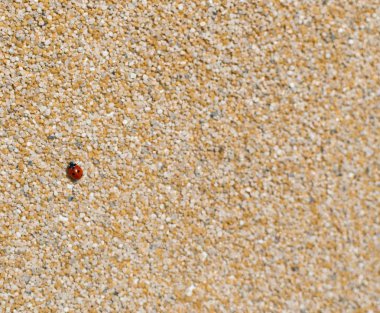 Dekoratif akrilik mozaik uğur böceği ile duvarda doku alçı. Doğal mermer çip arka plan kaba kum ile