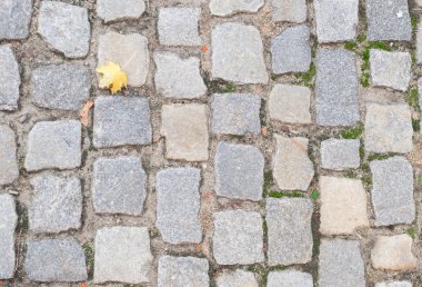 Eski kaldırım üstten görünüm ya da Granit kaldırım taşı döşeli yol sonbahar yaprakları ile gri. Antik tuğla Cobblestoned kat veya granit fayans Street büyük taşlarla