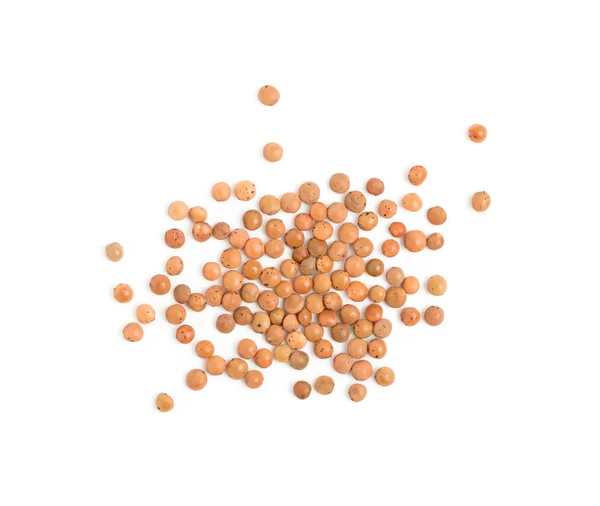 Sementes Lentilhas Marrons Secas Fonte Proteína Vegana Isolada Vista Superior — Fotografia de Stock