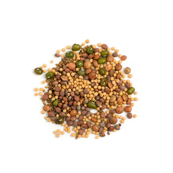 食用種子を混ぜて乾燥大根 マスタード レンズ豆 アルファルファ 白い背景で隔離ムング豆 健康的な栄養種子混合物 — ストック写真