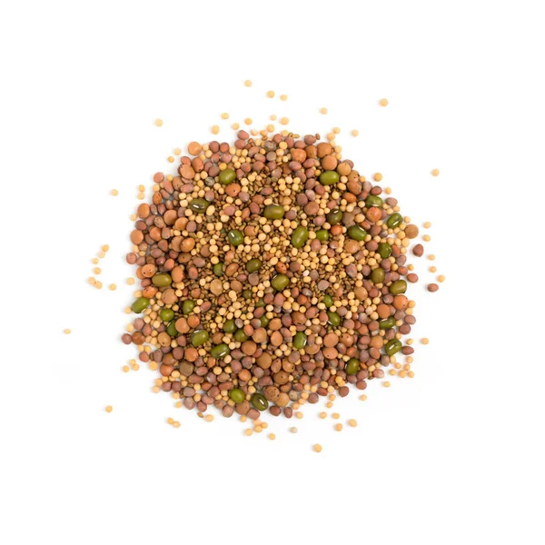 Essbare Saatgutmischung Mit Getrocknetem Rettich Senf Linsen Luzerne Und Mungbohnen — Stockfoto
