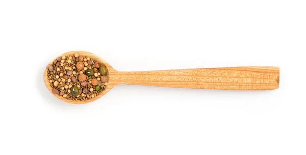食用種子を混ぜて乾燥大根 マスタード レンズ豆 アルファルファ 白い背景で隔離ムング豆 木製スプーンで健康的な栄養種子混合物 — ストック写真