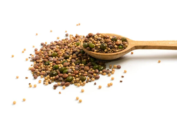 Edible Seed Mix Dry Radish Mustard Lentils Alfalfa Seeds Mung — Stock Photo, Image