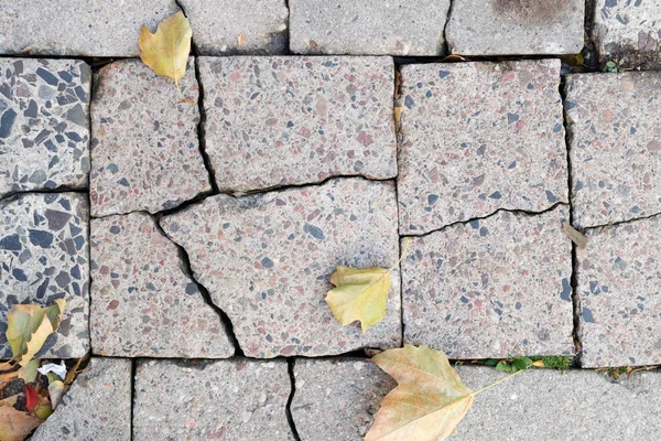 Grey Old Pavement Top View Granito Cobblestone Road Com Folhas — Fotografia de Stock