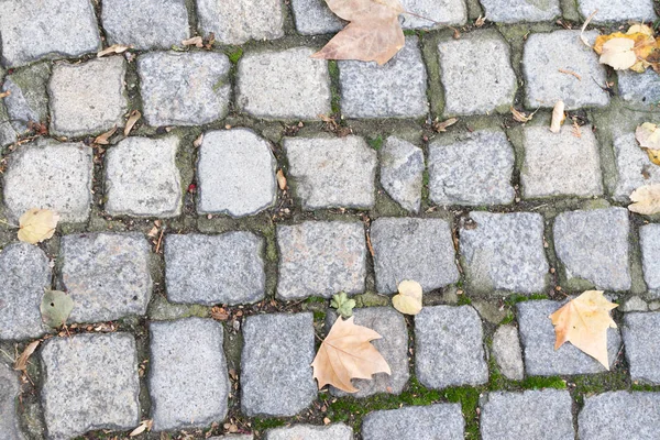 Grey Old Pavement Top View Granito Cobblestone Road Com Folhas — Fotografia de Stock