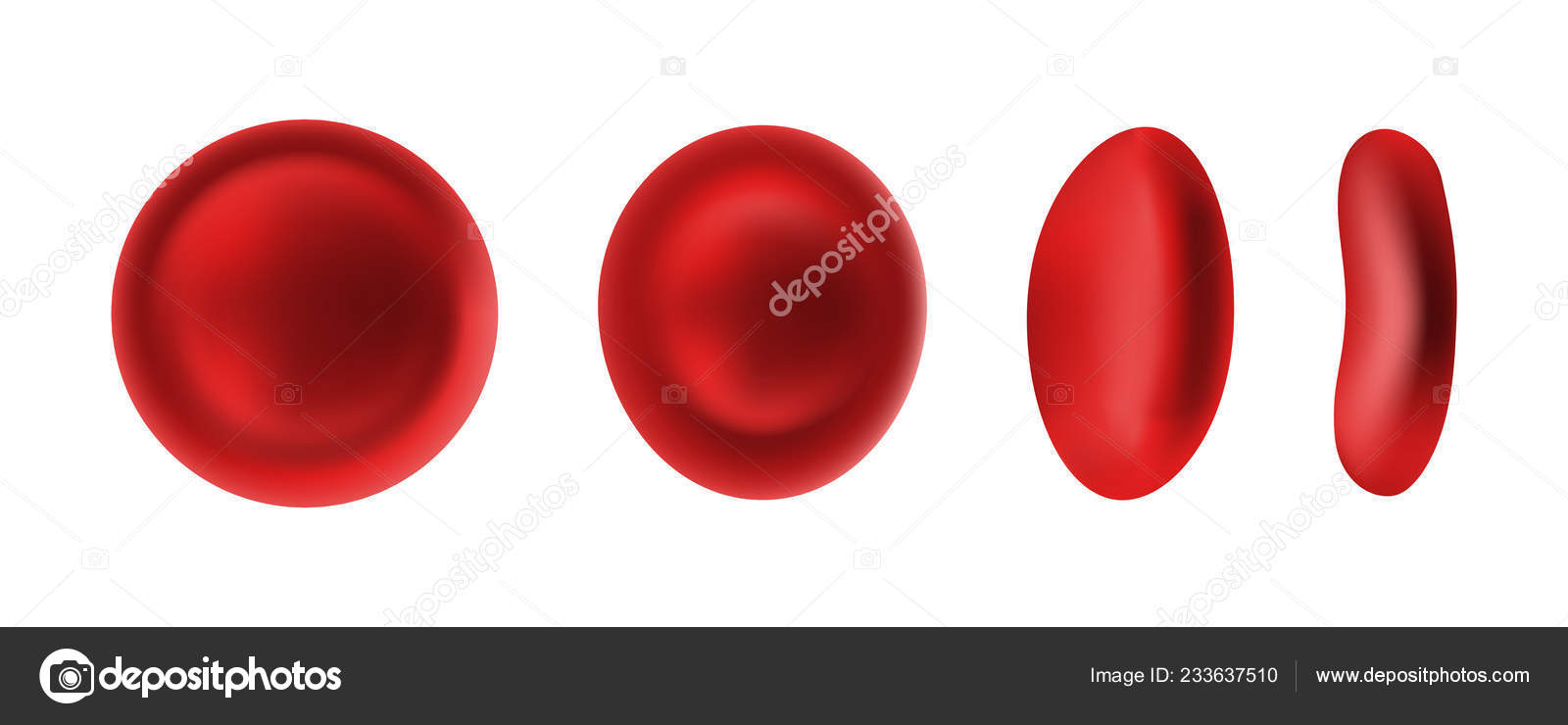 Erythrocyte Red Blood Cells Isolated White Background Sprite Sheet Animation Stock Vector Image by ©Oksana6299956 #233637510 Erythrocyte Red Blood Cells Isolated White Background Sprite Sheet Animation Stock Vector Image by ©Oksana6299956 #233637510