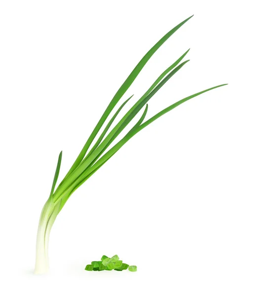 Bunch Young Green Onion Isolado Fundo Branco Realista Vetor Ilustração — Vetor de Stock