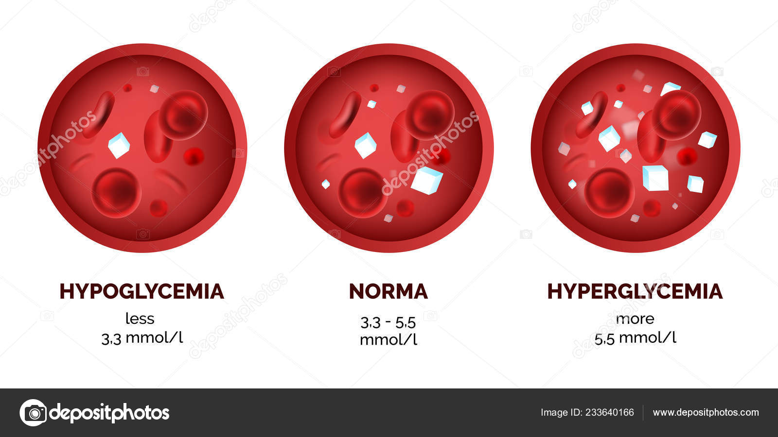 Infographic Image Blood Sugar Levels Isolated White Background