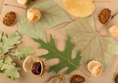 Kamuflaj Renklerde Düz Kuru Yapraklar veya Orman Zemini