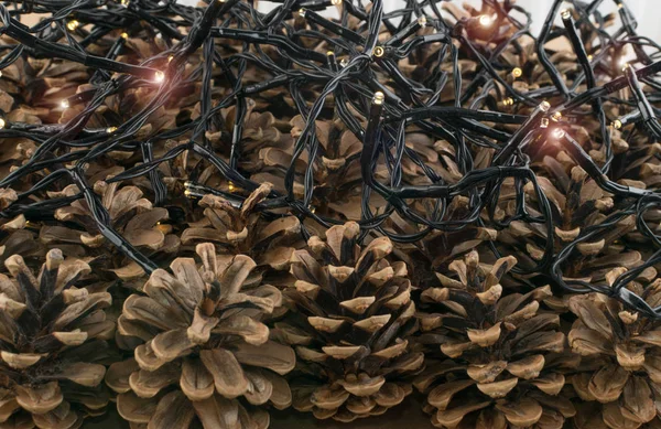 Conos de pino marrón seco fondo, textura o patrón —  Fotos de Stock
