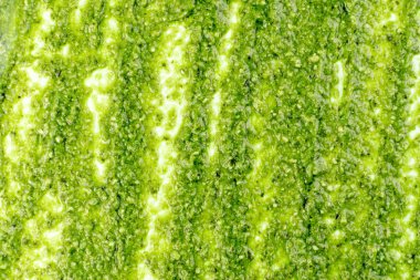 Pesto sos yayılmış veya beyaz arka plan üzerinde blob