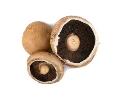 Portobello mushroom, portabella or portobella isolated on white clipart