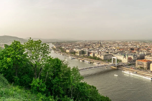 Budapesti Erzsébet híd szerkesztőségi arculat este — Stock Fotó