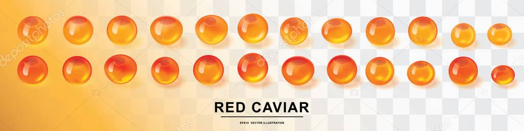 Raw red caviar collection, salted or fresh salmon fish eggs