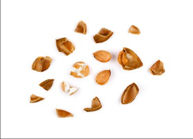 Kuru Kayısı Çekirdekleri ve Beyaz Arka Planda İzole Özet