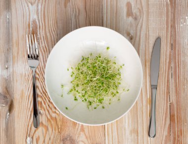 Kırmızı Yonca Filizi, Mikro Yeşil Sağlıklı Beslenme Konsepti