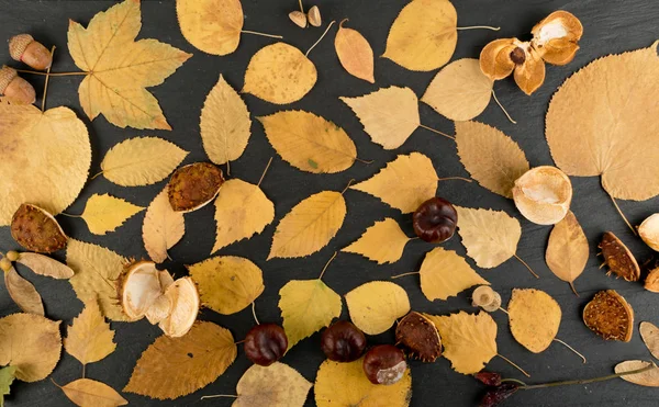 Folhas secas planas ou piso florestal em cores de camuflagem — Fotografia de Stock