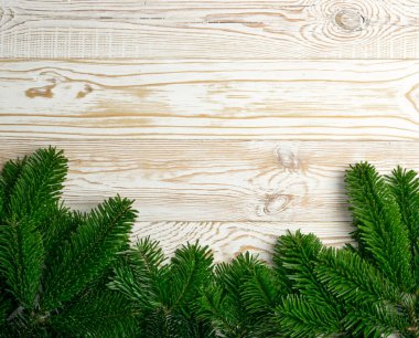 Doğal yeşil ladin dal arka plan veya doku