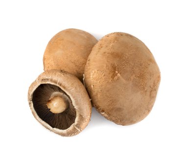 Portobello mantar, portabella veya portobella beyaz izole