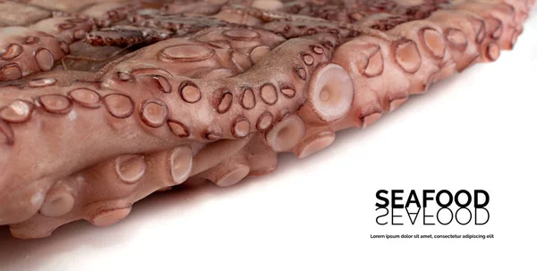 Macro Shot of Whole Frozen Octopus with Big Tentacles Closeup — Stock Photo, Image