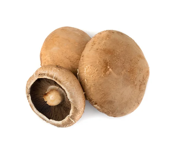 Portobello grzyb, Portabella lub portobella na białym tle — Zdjęcie stockowe