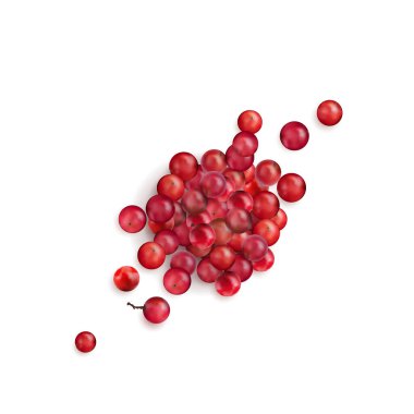 Kırmızı biberli mısırlar beyaz arka planda izole edilmiş. Pembe biber, baie rose, schinus molle, Peru biber ağacı veya schinus terebinthifolia tohumlarının gerçekçi vektör çizimi