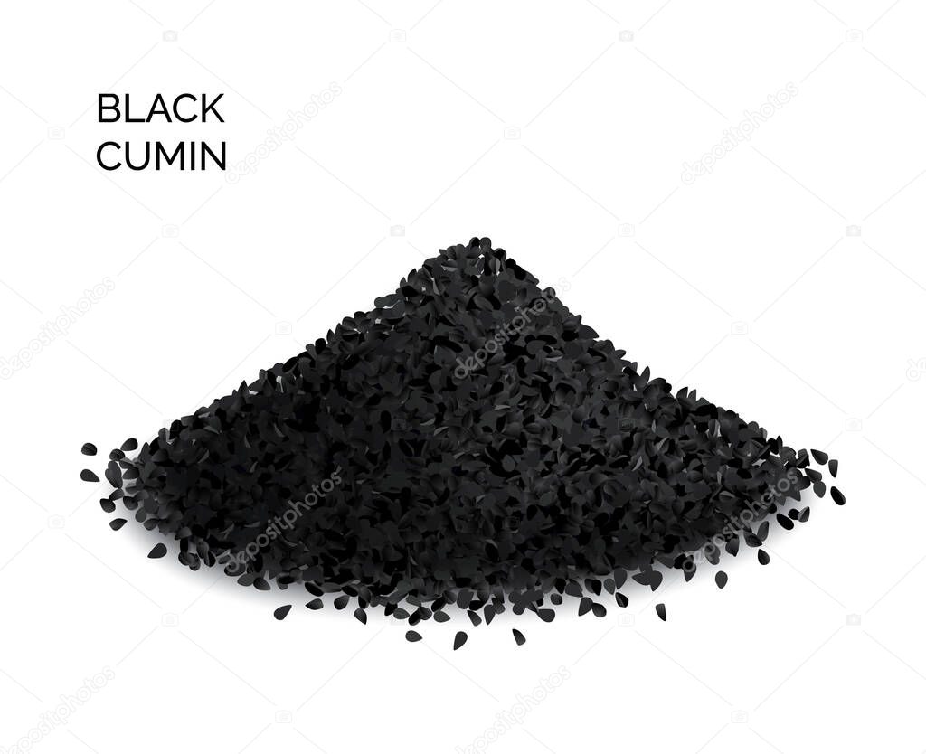 Pile of black cumin or black caraway spicy seeds isolated on white background top view. Vector illustration of nigella sativa also known as nigella, kalojeere and kalonji