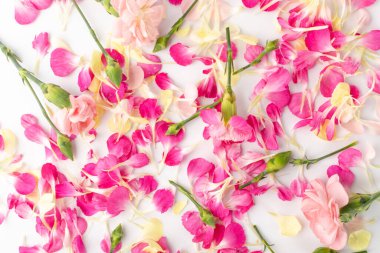 Pembe karanfil yaprakları deseni, çiçek taneleri desen arka plan görüntüsü. Gül yapraklı duvar kağıdı, bahar çiçeği romantik model düz yatıyordu.