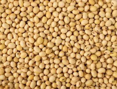 Çiğ susuz soya fasulyesi dokusu arka plan görüntüsü. Kuru fasulye deseni, soya fasulyesi düzlüğü.