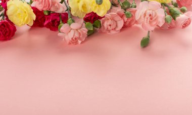 Fotokopi alanı olan pembe arka plan manzaralı taze karanfil çiçeği buketi. Sarı, pembe ve kırmızı karanfil çiçekleri veya schabaud maketi
