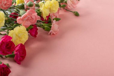 Fotokopi alanı olan pembe arka plan manzaralı taze karanfil çiçeği buketi. Sarı, pembe ve kırmızı karanfil çiçekleri veya schabaud maketi