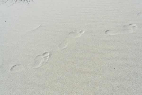 Voetsporen Pad Witte Zand Textuur Voetstap Patroon Zandstrand Textuur Achtergrond — Stockfoto