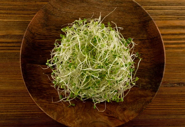 Heap of red clover sprouts, lucerne and radish sprouts on wood rustic plate background top view. Sprouted vegetable seeds for raw diet food, micro green healthy eating concept