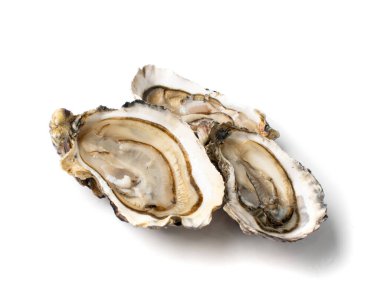 Taze açılmış istiridye. Beyaz arka planda yarı izole edilmiş. Çiğ Fransız istiridye yumuşakçaları, kabuklu deniz hayvanları ya da midye yakın plan.