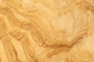 Zeytin ağacı dokusu arka planı. Katı ahşap burr ya da burl deseni, ahşap duvar kağıdı, baloncuk, afzelia fotokopi alanı ile modelleme