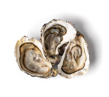 Taze açılmış istiridye. Beyaz arka planda yarı izole edilmiş. Çiğ Fransız istiridye yumuşakçaları, kabuklu deniz hayvanları veya midye üst görünümü