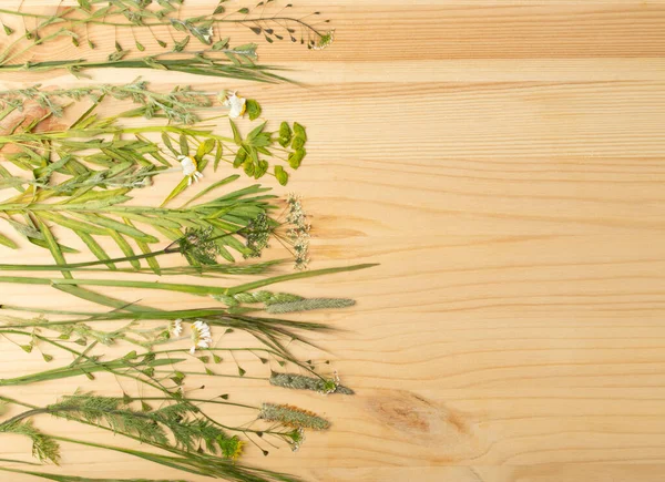 Gepresstes Getrocknetes Herbarium Verschiedener Pflanzen Auf Rustikalem Holzgrund Lag Flach — Stockfoto