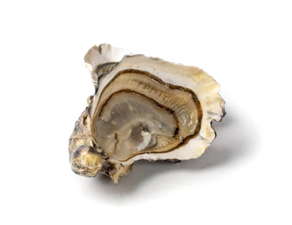 新鲜开放的牡蛎半隔离在白色背景 生法国牡蛎软体动物 贝类或贻贝 — 图库照片