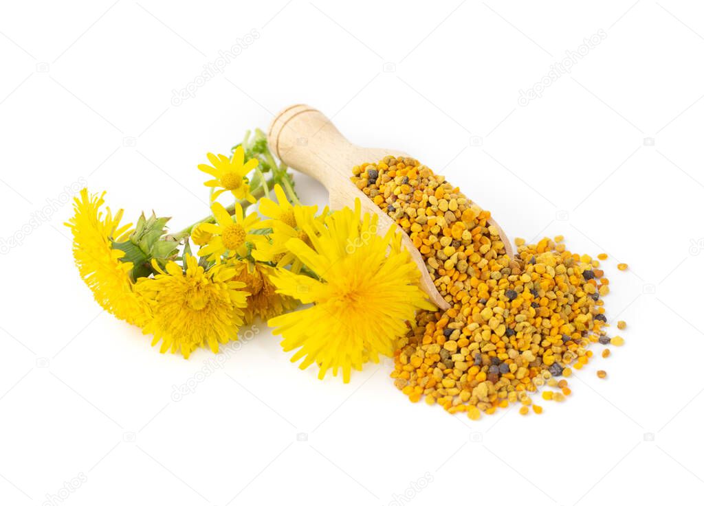 Scattered bee pollen or perga isolated on white background. Raw brown, yellow, orange and blue flower pollen grains or bee bread in wooden scoop. Healthy food supplement