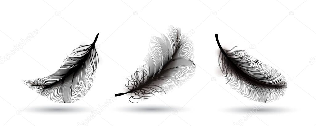 Black swan feather isolated on dark background. Realistic 3d vector illustration of falling dove feathers or elegant soft plume