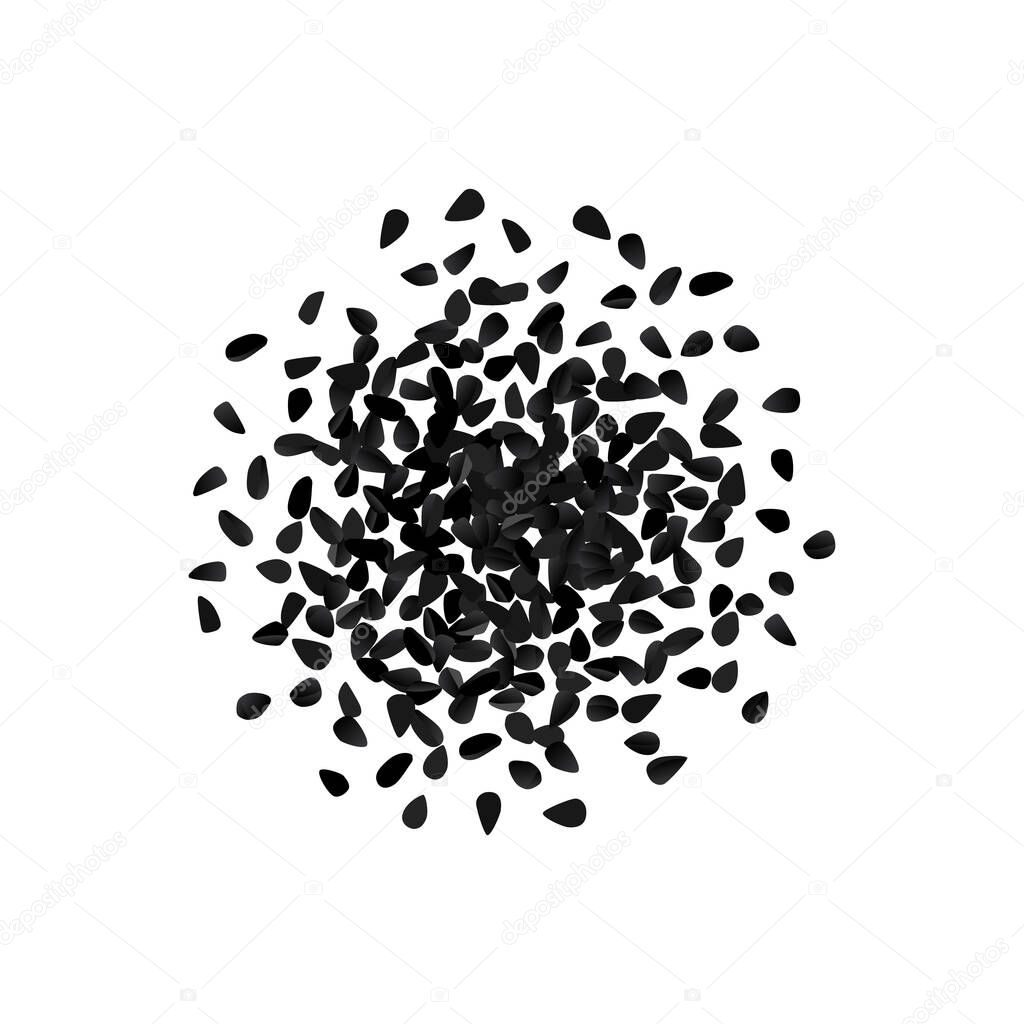 Black cumin or black caraway spicy seeds isolated on white background top view. Vector illustration of nigella sativa also known as nigella, kalojeere and kalonji