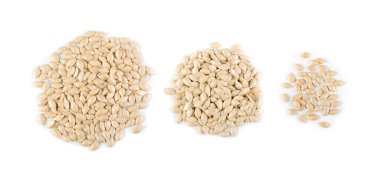 Kabak, kabak, kabak, dekoratif balkabağı veya sebze çekirdeği. Beyaz arka planda izole edilmiş kuru tohumlar. Yakın plan ve üst manzara.