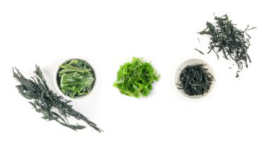 Kuru Wakame Yosun Koleksiyonu Beyaz Arkaplanda İzole Edildi. Sağlıklı Yosun Gıda Seti