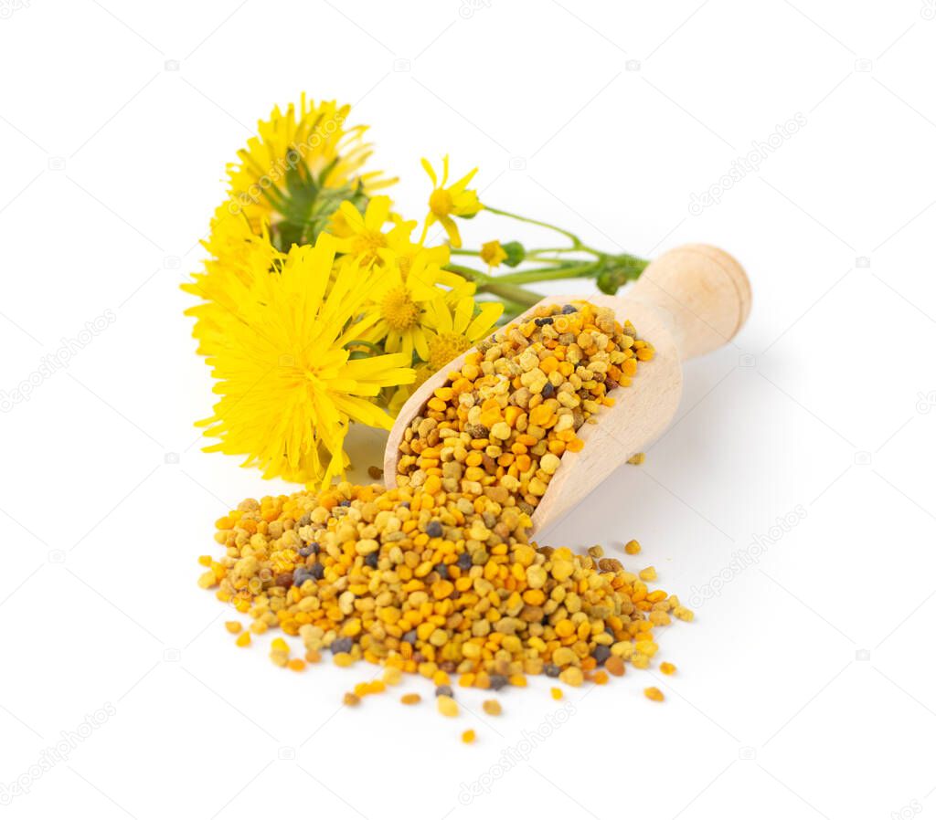 Scattered bee pollen or perga isolated on white background. Raw brown, yellow, orange and blue flower pollen grains or bee bread in wooden scoop. Healthy food supplement