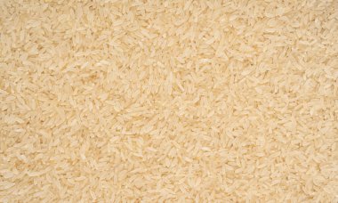 Beyaz haşlanmış pirinç taneleri dokusu arka planda. Kurutulmamış ponni pirinç deseni, küçük organik basmati bayrağı, geleneksel Asya malzeme duvar kağıdı.