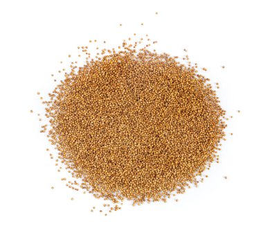 Kişniş tohumları yalıtılmış, Cilantro tohumları, Çin Maydanoz Tohumu Grubu, Kuru Baharatlar, Mevsimler, Kişniş Herb Tohumları Beyaz Arkaplan Üst Görünümünde