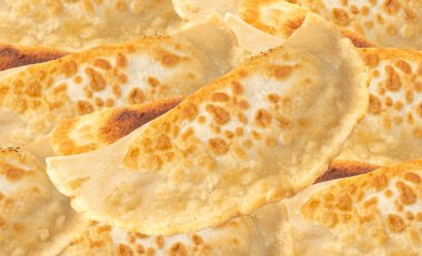 Cheburek İzole Edildi, Ev Yapımı Kızarmış Et Turtası, Doldurulmuş Tatar Chiburekki, Calzone, Geleneksel Empanada, Beyaz Arkaplanda Cheburek