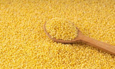 Çiğ darı taneleri ve ahşap kaşık kaplaması. Küçük sarı mısır gevreği, doğal tilki kuyruğu küçük tohumlar, kuru pişmemiş proso yakın çekim, darı desenli arka plan