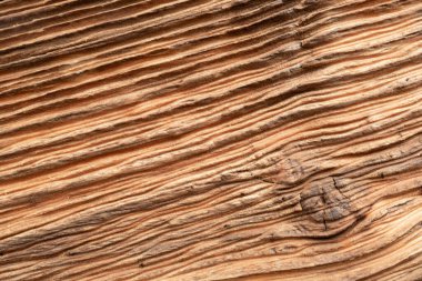 Ahşap düğümlü arka plan. Karanlık, eski bir tahta yüzey, yanmış ahşap fırça, makro, eski, kahverengi zemin, tahıl meşesi ahşap masa yakın, kırsal ahşap üst görünüm